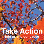 take action to help eliminate gas powered leaf blowers